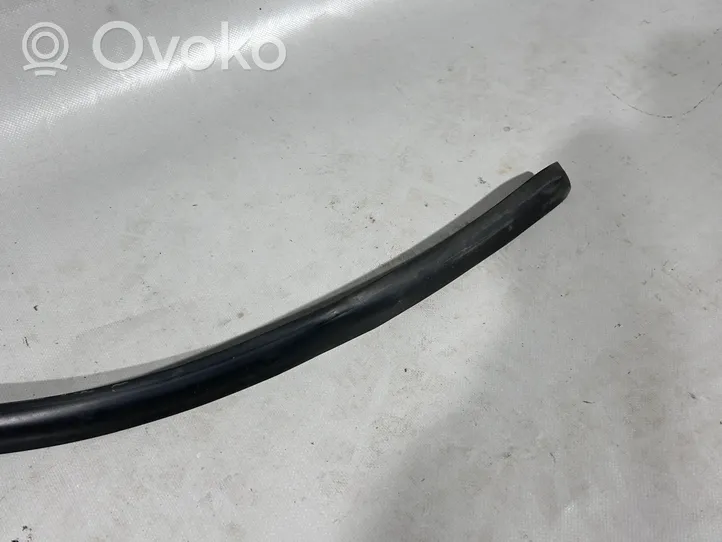 Volkswagen Touareg II Rubber seal rear door 