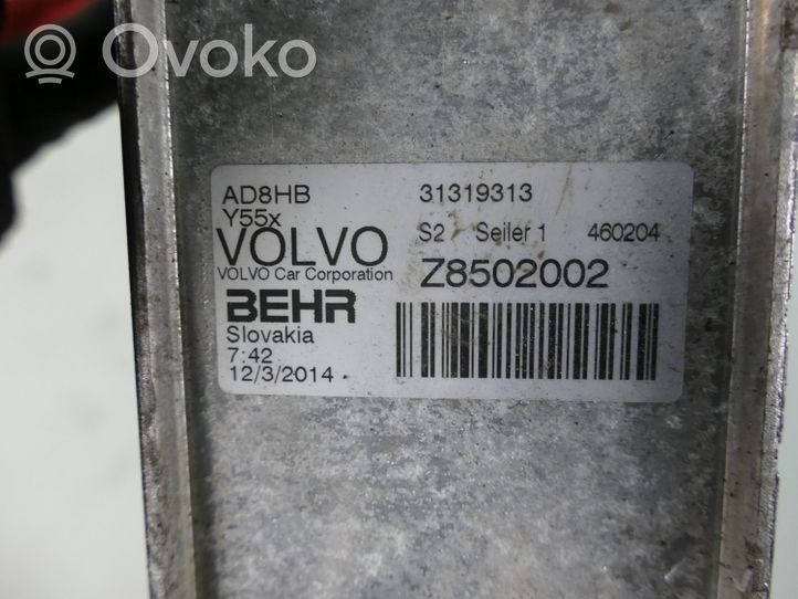 Volvo V40 Radiatore dell’olio del motore 31319313
