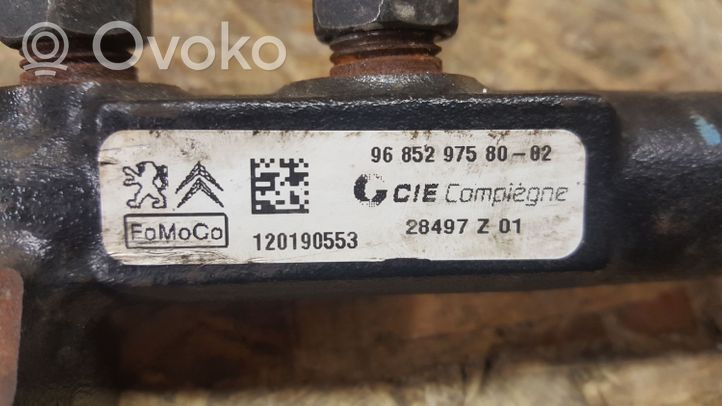 Volvo V60 Kraftstoffverteiler Einspritzleiste Verteilerrohr 9685297580