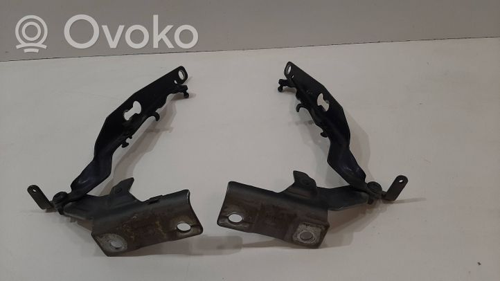 Volvo S60 Cerniere del vano motore/cofano 30799179