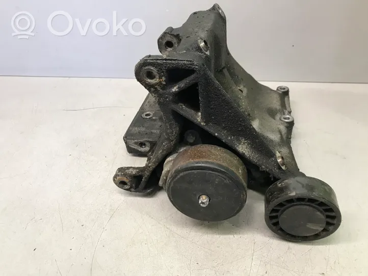 Mercedes-Benz C W203 Napinacz paska wielorowkowego / Alternatora A1110960645