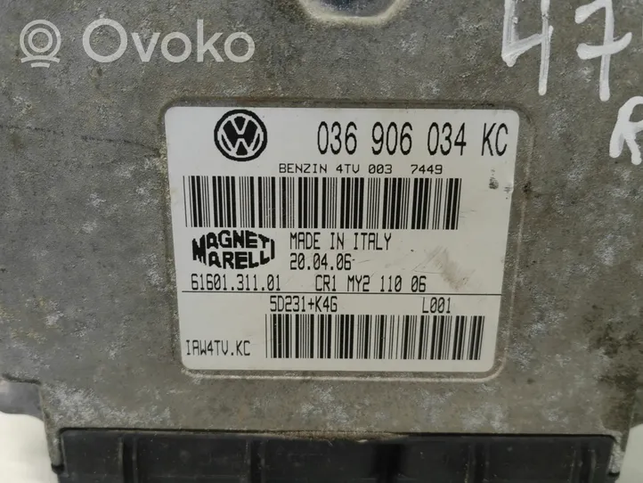 Seat Ibiza III (6L) Sterownik / Moduł ECU 036906034KC