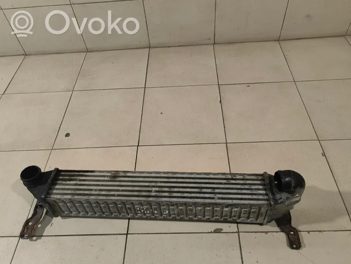 Volkswagen Sharan Radiatore intercooler 7M3145805