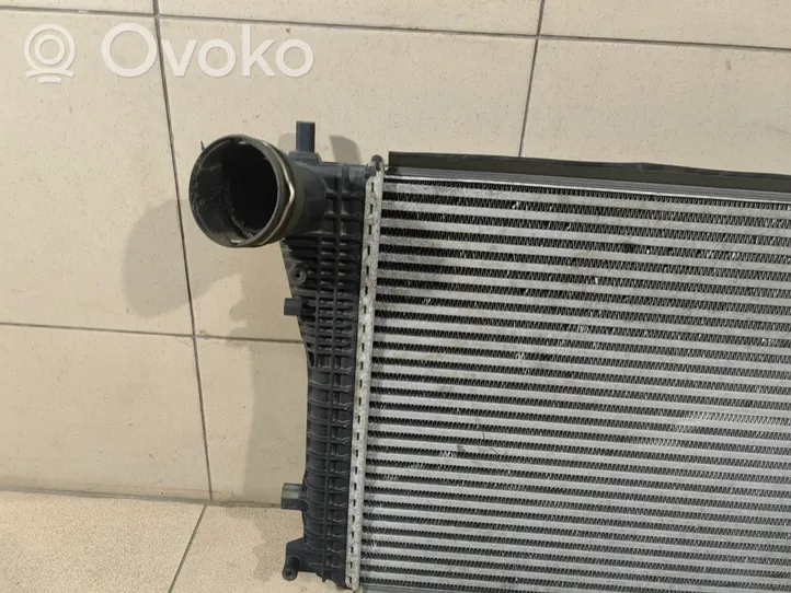 Volkswagen Sharan Intercooler radiator 3C0145805P