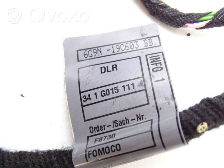 Land Rover Freelander 2 - LR2 Cablaggio/alloggiamento cablaggio della portiera anteriore 6G9N-19C603-BB