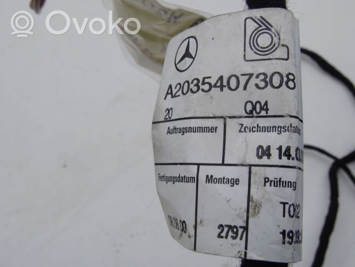 Mercedes-Benz C W203 Portiera posteriore A2035407308