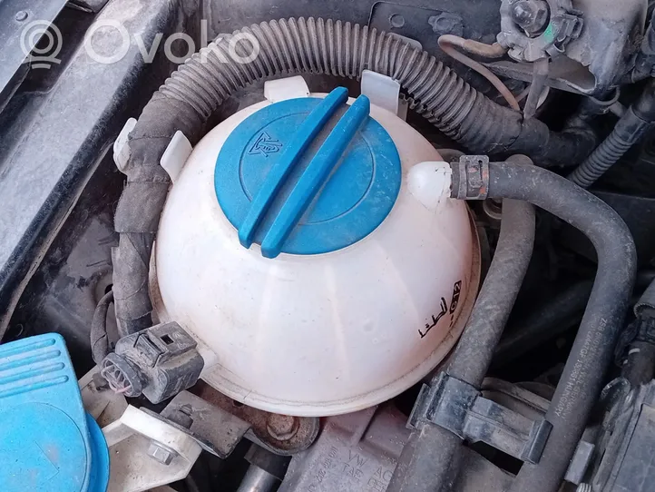 Volkswagen PASSAT B7 Расширительный бачок охлаждающей жидкости 