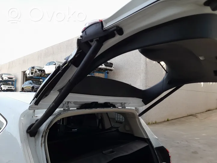 Ford S-MAX Ammortizzatore portellone posteriore/bagagliaio 