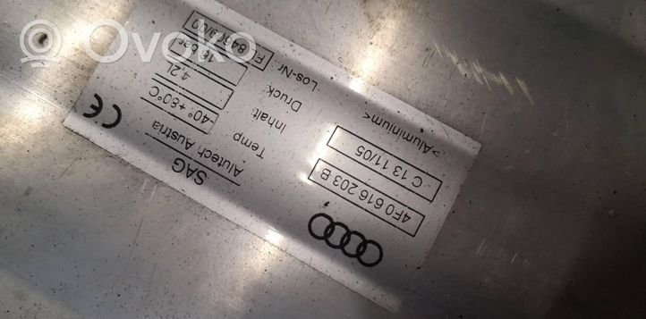 Audi A6 S6 C6 4F Oro talpa 