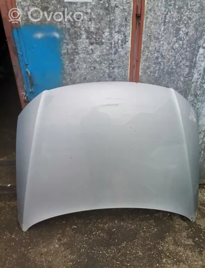 Volkswagen PASSAT B6 Engine bonnet/hood 