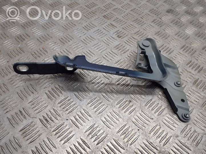 Opel Meriva B Engine bonnet/hood hinges 13269758