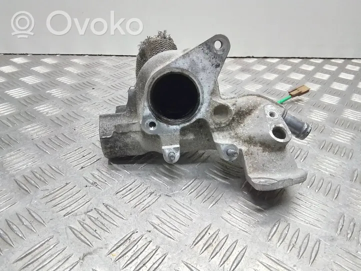 Nissan Qashqai EGR vamzdelis (-iai)/ žarna (-os) 147173974R