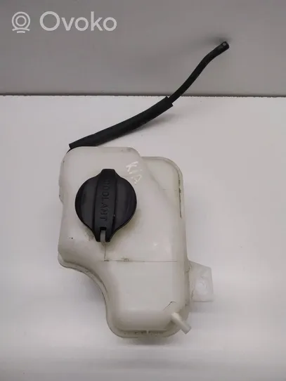 KIA Optima Coolant expansion tank/reservoir 254302T000