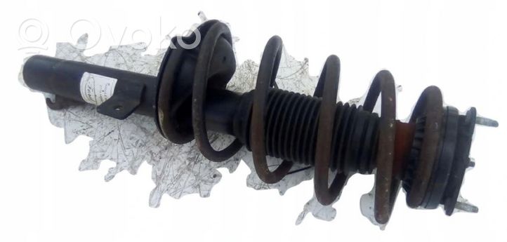 Ford Transit -  Tourneo Connect Rear shock absorber/damper 1561133789