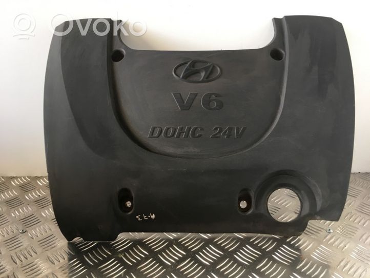 Hyundai Sonata Engine cover (trim) 