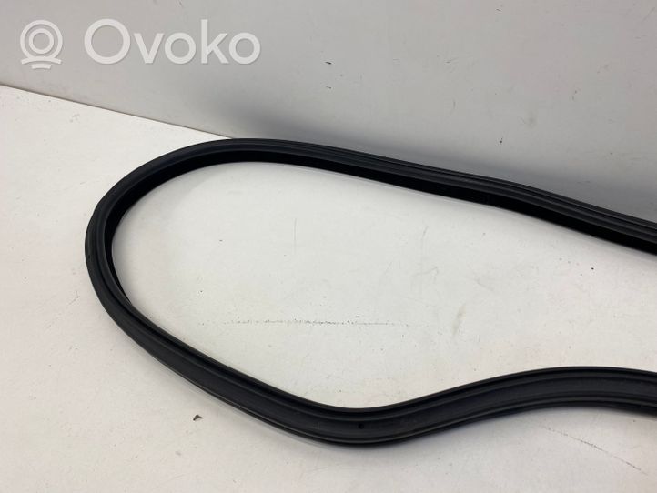 BMW 3 GT F34 Rear door rubber seal (on body) 