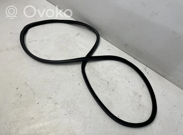 BMW 5 F10 F11 Rear door rubber seal (on body) 7199775