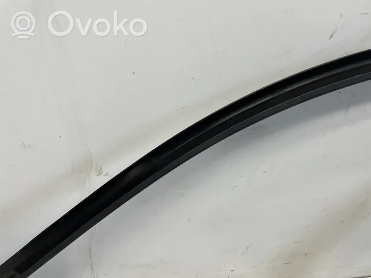 BMW 3 F30 F35 F31 Front door glass trim molding 7259384