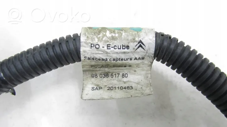 Citroen C4 Cactus Parkošanas (PDC) sensoru vadu instalācija 9803651780
