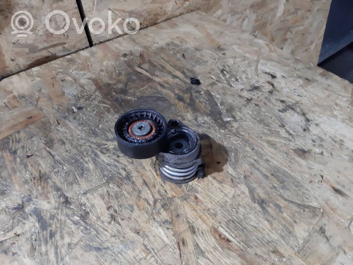 BMW 5 E39 Napinacz paska alternatora 7512758