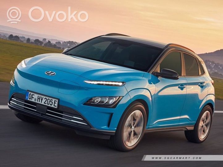 Hyundai Kona I Priekinės durys DRZWI