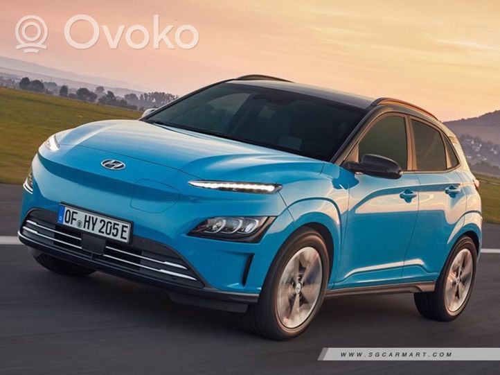 Hyundai Kona I Muut ohjainlaitteet/moduulit 366010E275