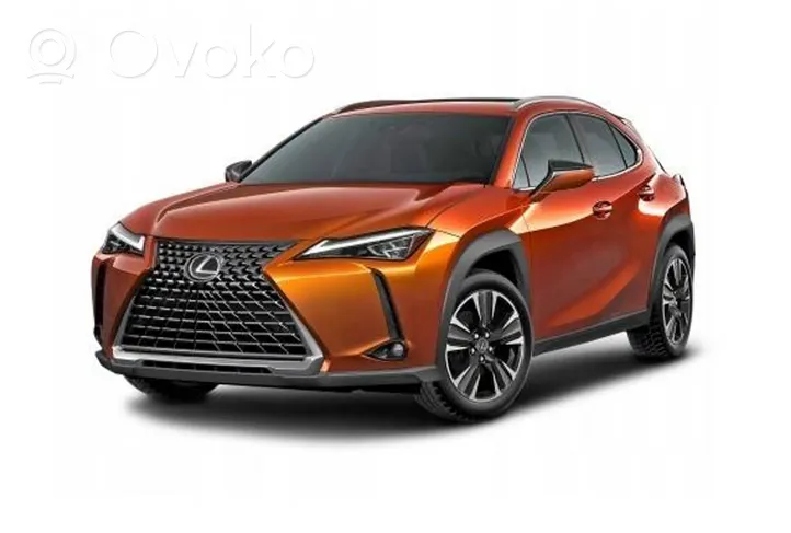 Lexus UX Dach 