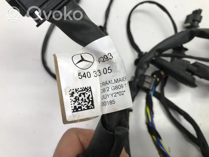 Mercedes-Benz EQC Variklio instaliacija A2935403305