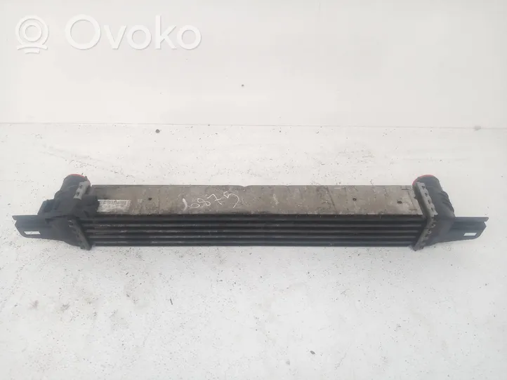 Fiat Fiorino Radiatore intercooler 51790623