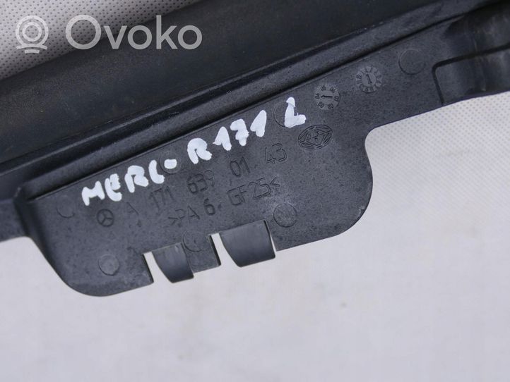 Mercedes-Benz SLK R171 Rear door rubber seal (on body) A1716390143