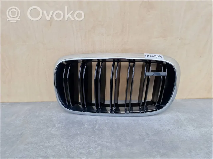 BMW X6 F16 Front grill 50700448L