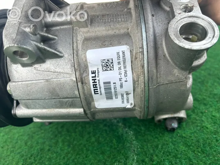 Maserati Levante Compressore aria condizionata (A/C) (pompa) RK493002