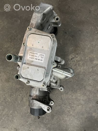 SsangYong Korando Radiatore dell’olio del motore A6711840102