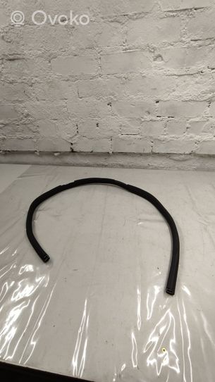 Mercedes-Benz AMG GT R190 C190 Front door rubber seal A1906970351