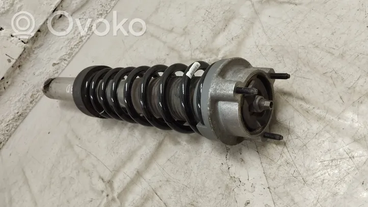 A1903202600 Mercedes-Benz AMG GT R190 C190 Rear shock absorber 