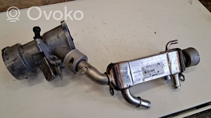 Mercedes-Benz CLK A209 C209 Valvola di raffreddamento EGR A6461400875