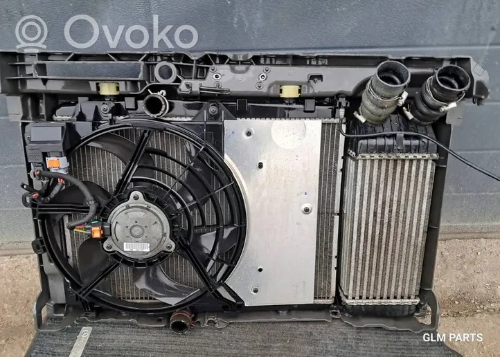 Peugeot 208 Kit Radiateur 