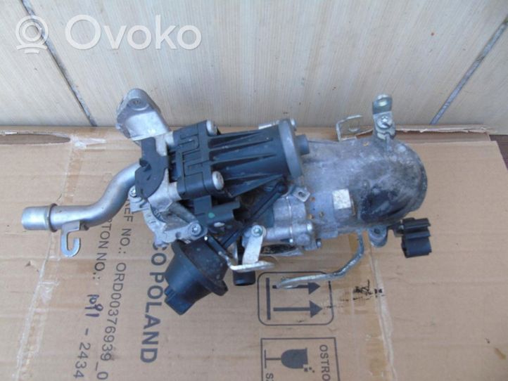 Citroen C4 II Refroidisseur de vanne EGR 50563903