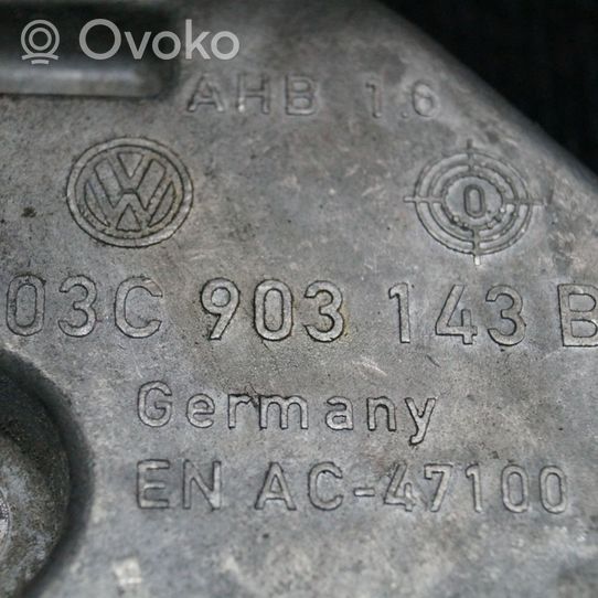 Volkswagen PASSAT B7 Staffa di montaggio del compressore dell’A/C 03C903143B