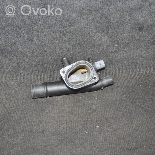 Volkswagen PASSAT B6 Thermostat 038121132D