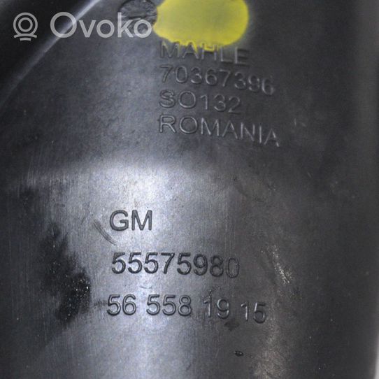 Opel Insignia A Kita variklio skyriaus detalė 55575980