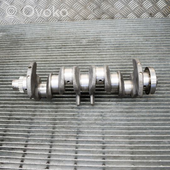 Volkswagen Golf VI Crankshaft 