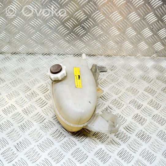 Opel Movano A Serbatoio di compensazione del liquido refrigerante/vaschetta 8200595002