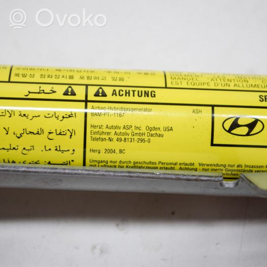 Hyundai Sonata Kurtyna airbag 4981312950