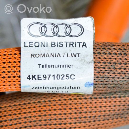 Audi E-tron GT Faisceau câbles de frein 4KE971025C