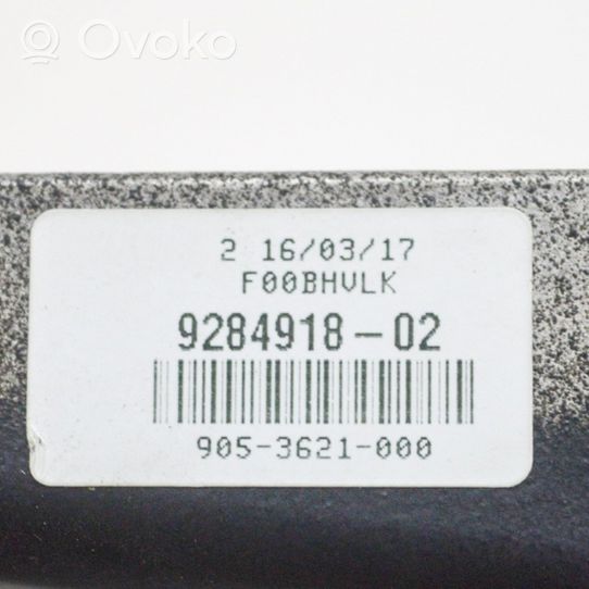 BMW i3 Galinio vaizdo veidrodis (salone) E11026661