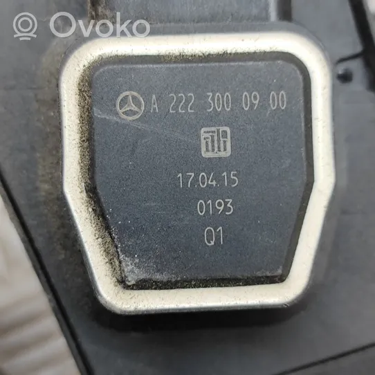 Mercedes-Benz S W222 Accelerator throttle pedal A2043000082