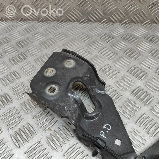 Volkswagen Touareg II Cerniere del vano motore/cofano 7P6823302