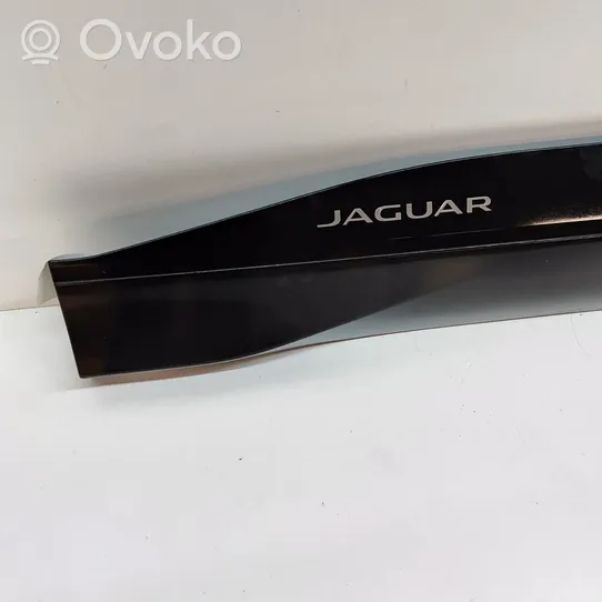 Jaguar I-Pace Apdaila priekinių durų (moldingas) J9D321065A