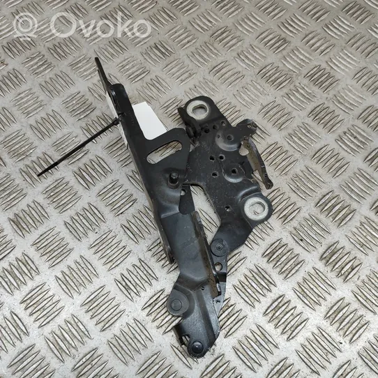 BMW 3 F30 F35 F31 Cerniere del vano motore/cofano 7336699